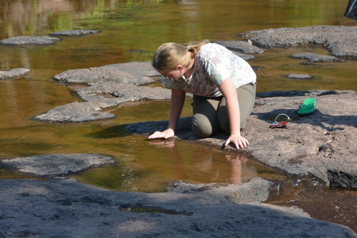 catching minnows, Gooseberry Falls